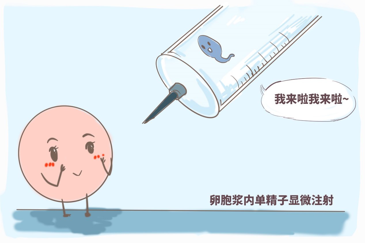 惠州试管