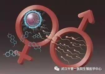 人流手术