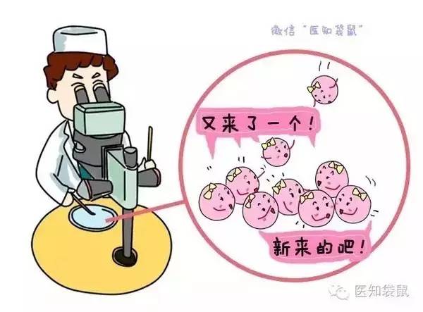 人流手术